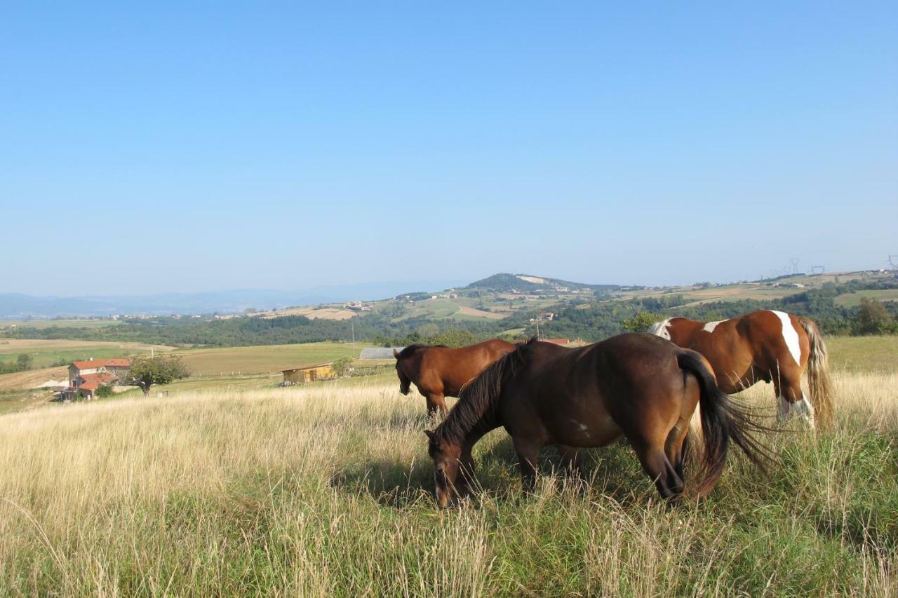 Gite Le Corral Cheminas Экстерьер фото